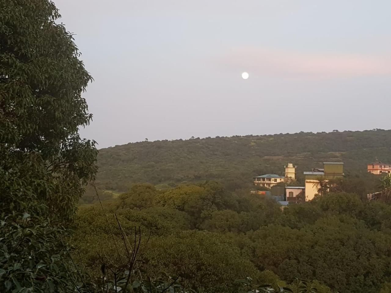 C P Cottage Resort 马哈巴莱斯赫瓦尔 外观 照片